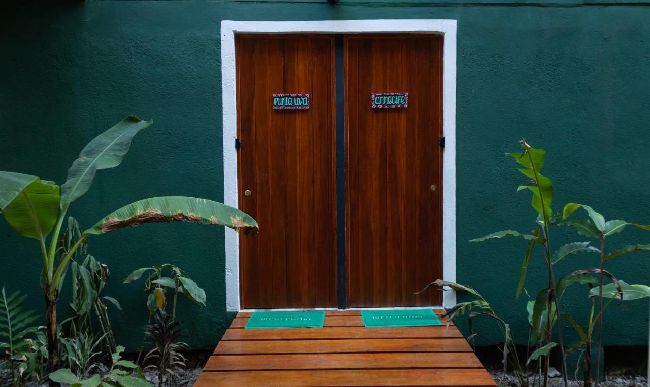Hotel Boutique The Green Jungle House Puerto Viejo de Talamanca Buitenkant foto