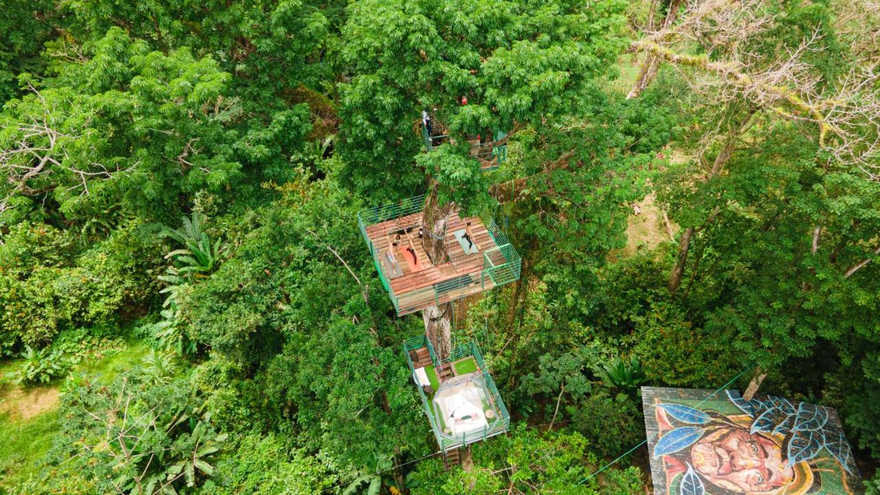 Hotel Boutique The Green Jungle House Puerto Viejo de Talamanca Buitenkant foto