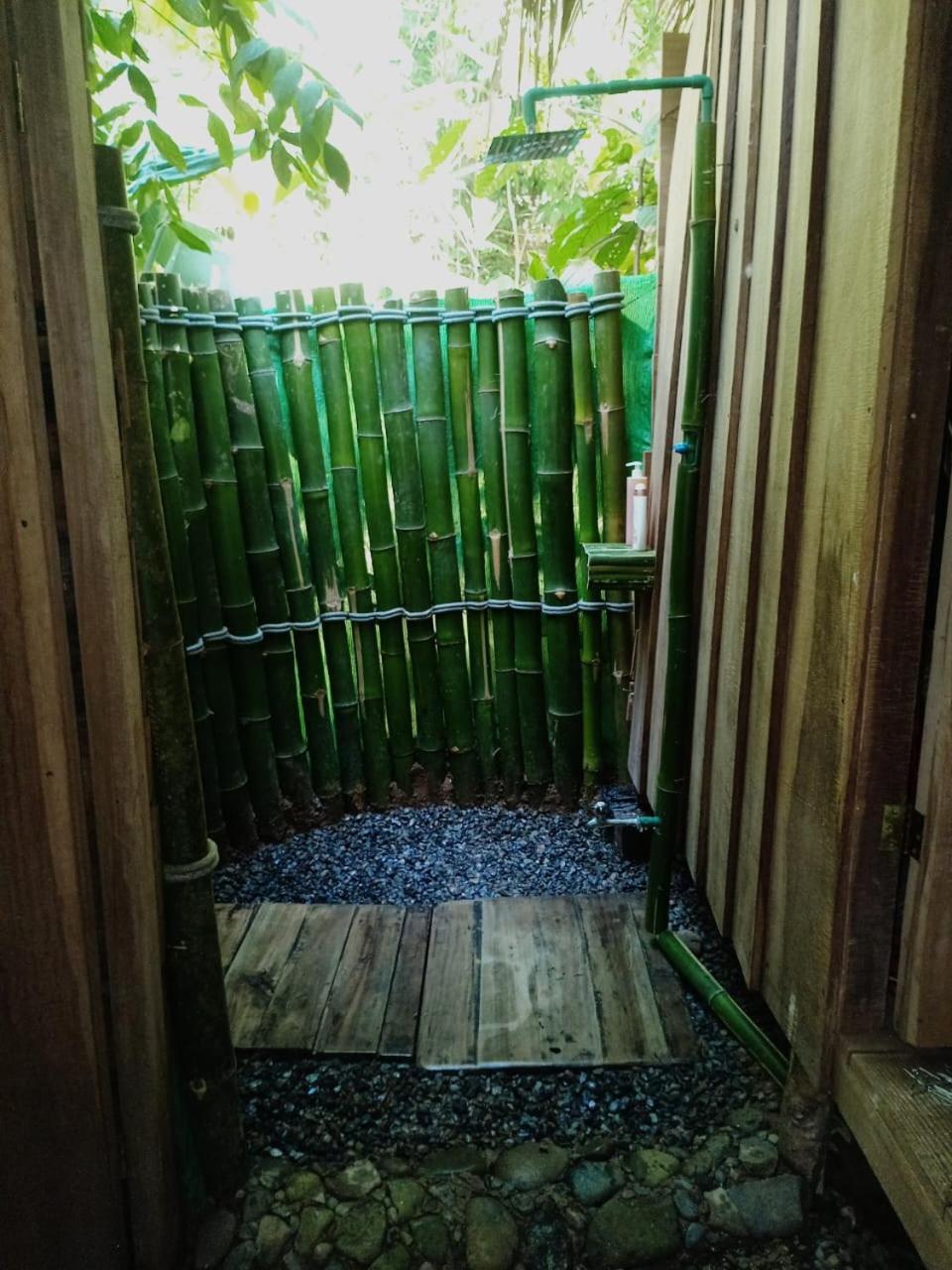 Hotel Boutique The Green Jungle House Puerto Viejo de Talamanca Buitenkant foto