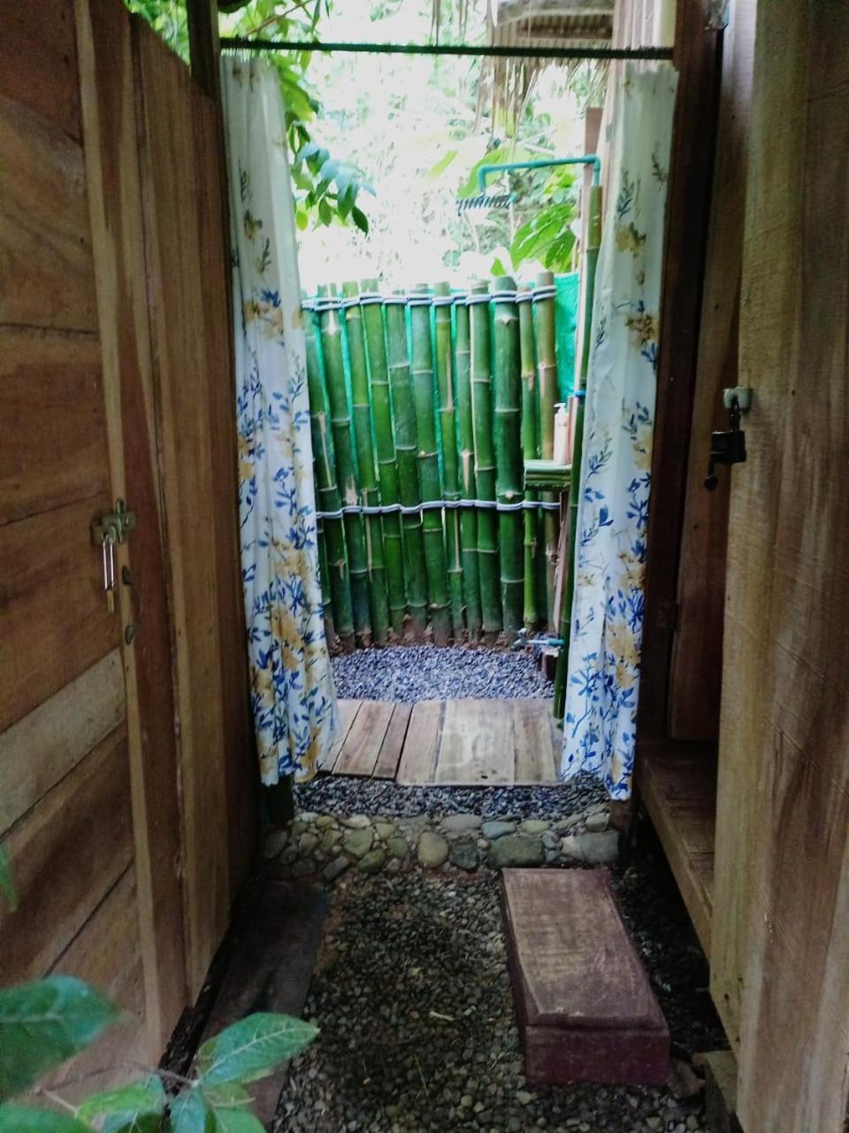 Hotel Boutique The Green Jungle House Puerto Viejo de Talamanca Buitenkant foto